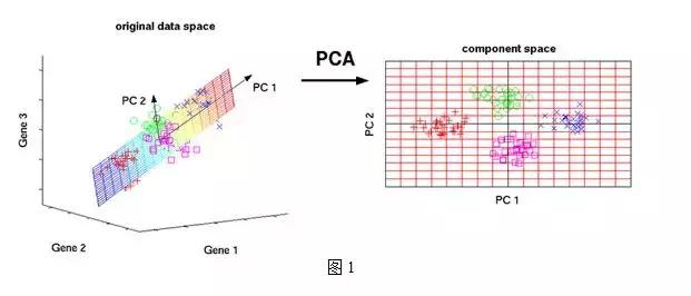 如何看懂PCA主成分分析图,pca主成分分析具体过程