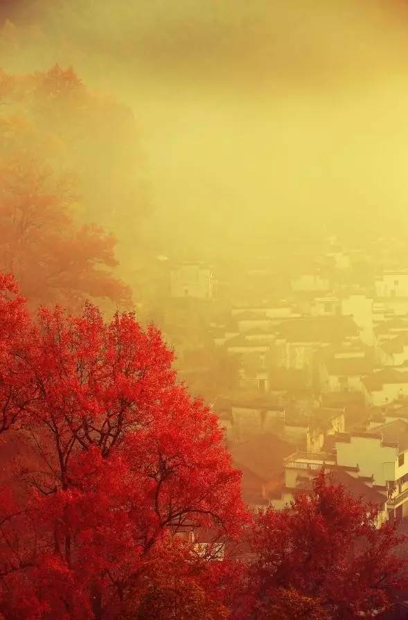 秋天的婺源篁岭,秋天的婺源有什么