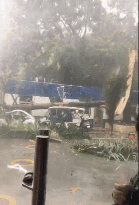 山竹现在情况怎么样,山竹最新消息东莞