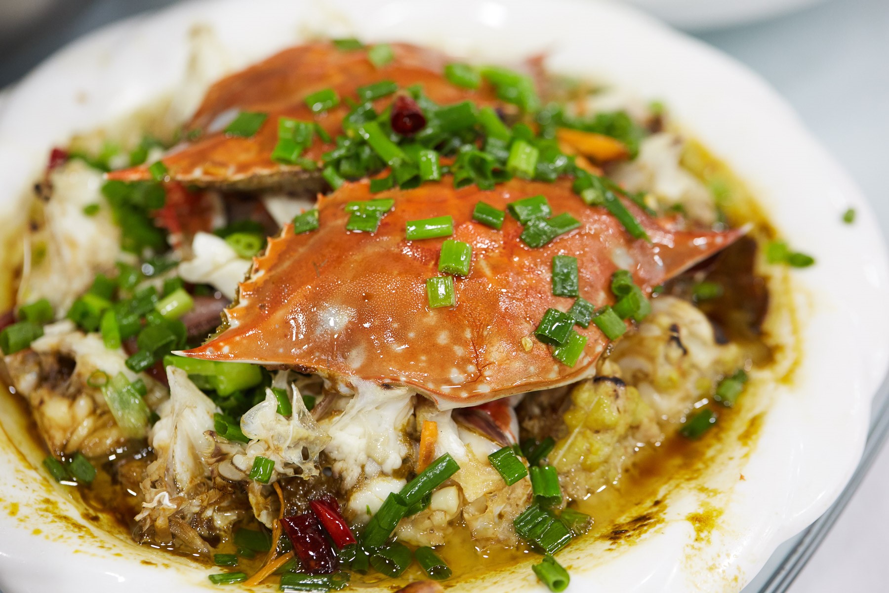 东海开渔捕蟹,东海开渔捕海鲜