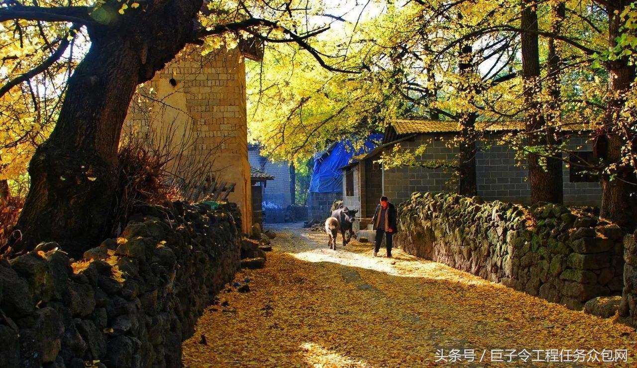 如何快速计算水泥沙子砖的用量,水泥砖的用量怎么计算出来