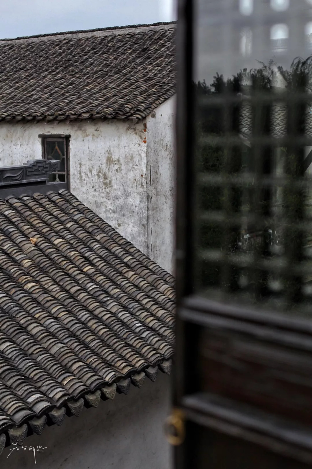 沙家浜二日游旅游攻略,沙家浜春节一日游攻略