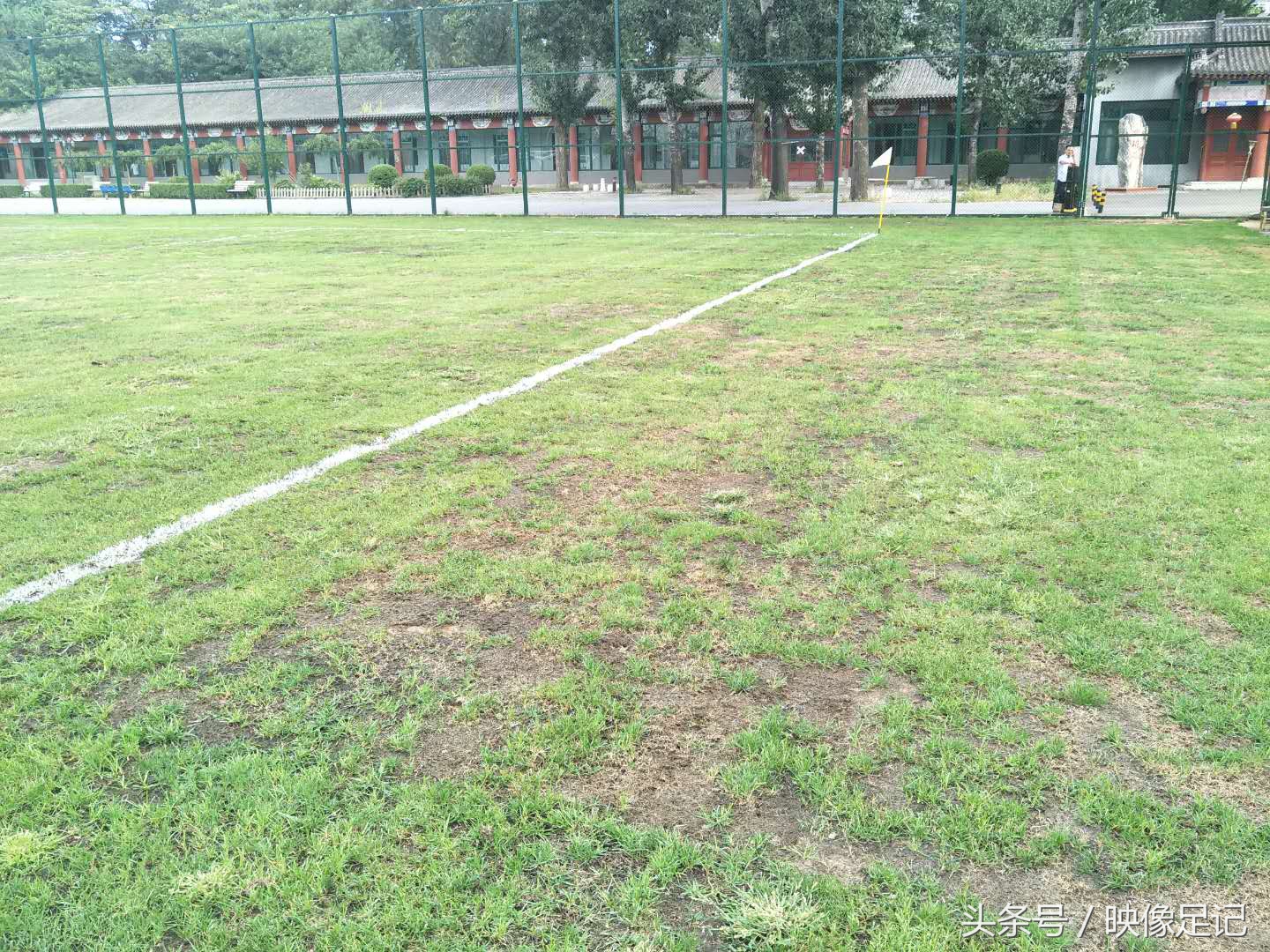 涓浗瓒冲崗濂宠冻鎯ㄨ触鑽峰叞,涓浗濂宠冻璁╀汉蹇冪柤