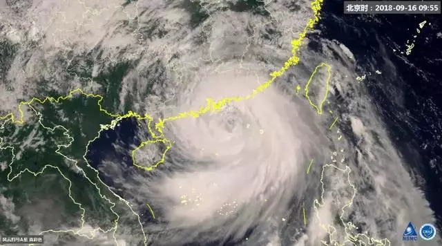 为什么说山竹可以抗风,关于山竹的四大谣言