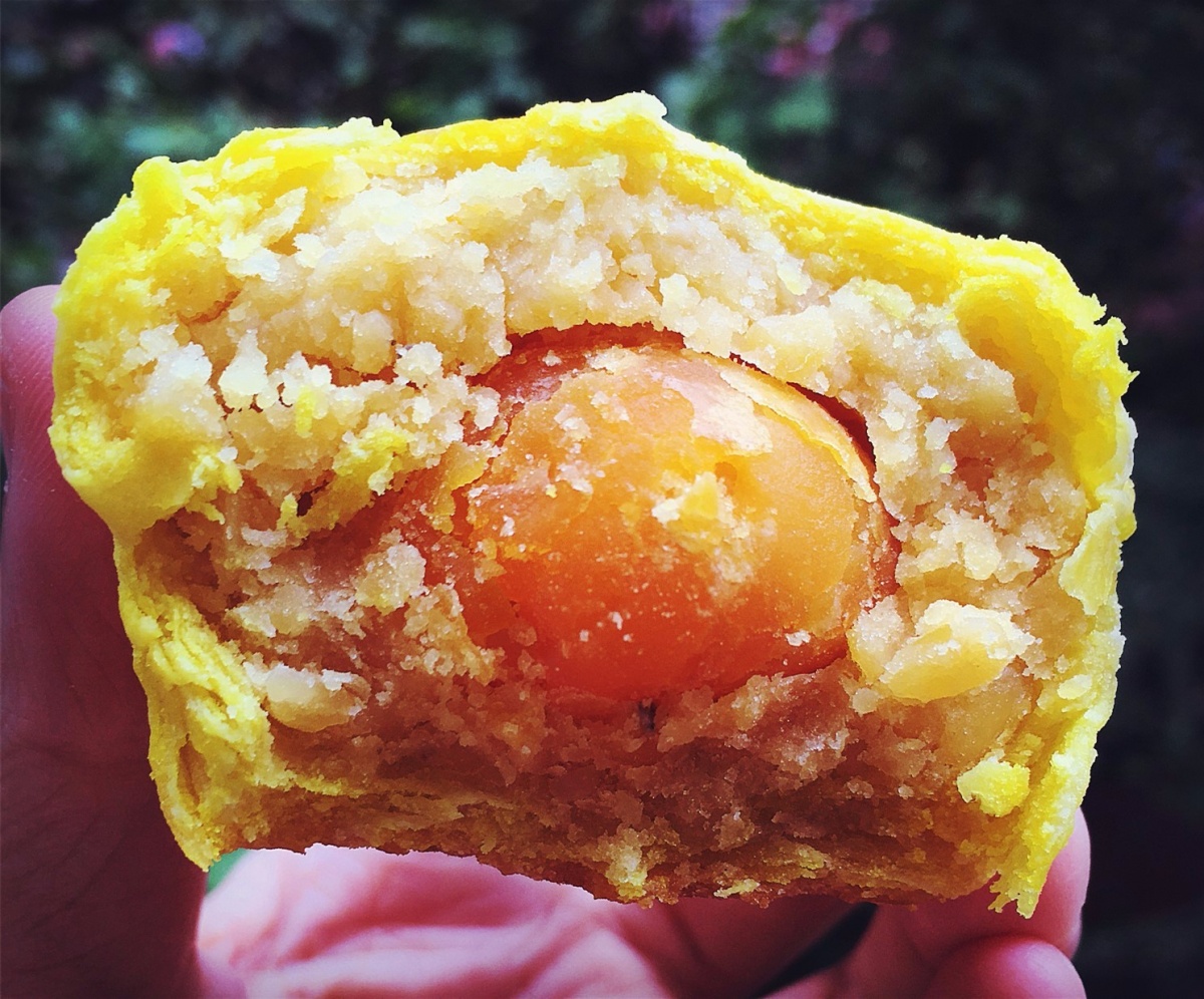 娣樺疂濂藉悆鐨勮泲榛勯叆鎺ㄨ崘,娣樺疂搴椾笂鐨勮泲榛勯叆