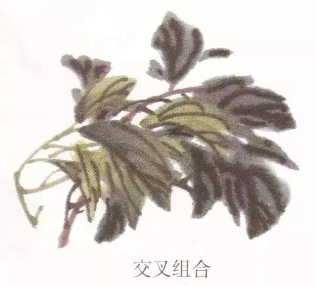 国画牡丹叶子怎样布局,国画牡丹叶子的布局