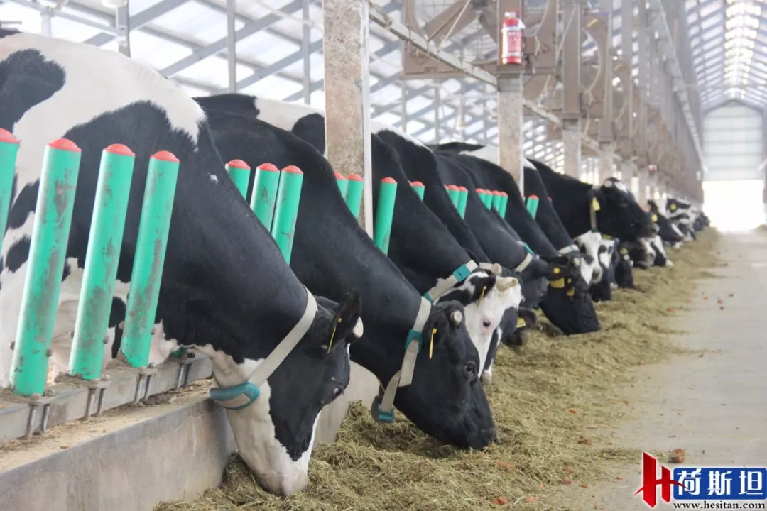 畜牧业可持续发展国际研讨会,中国生态养殖技术创新大会