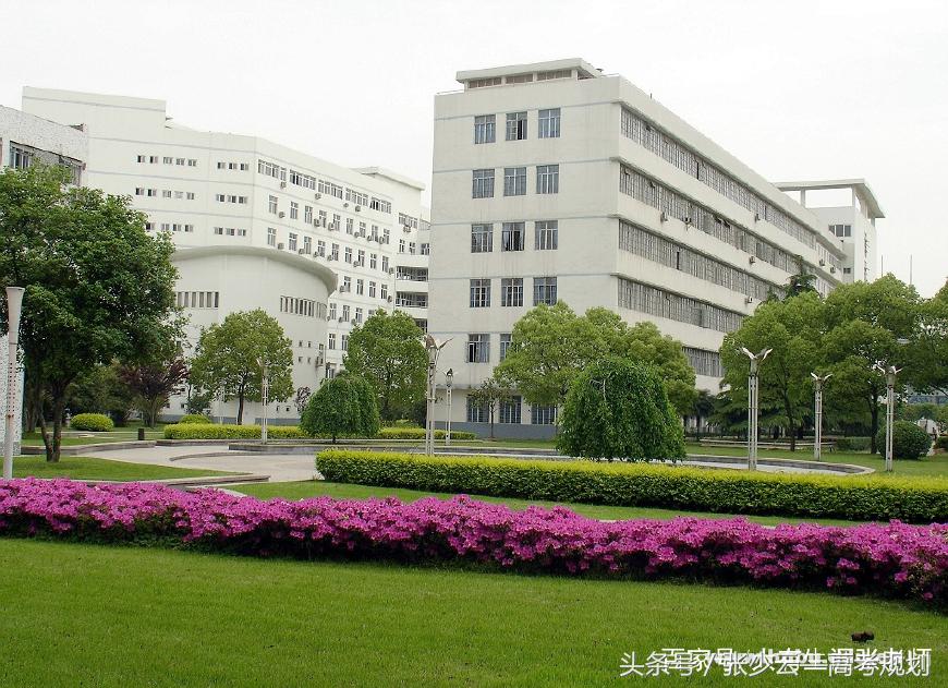 湖北大学的优势专业有哪些？