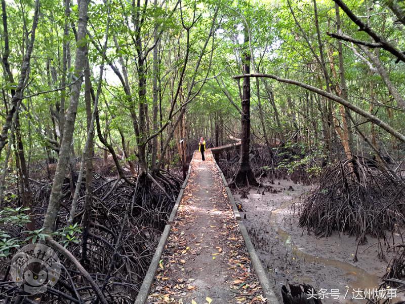 泰国小众岛屿沙美岛,泰国小众岛屿日落