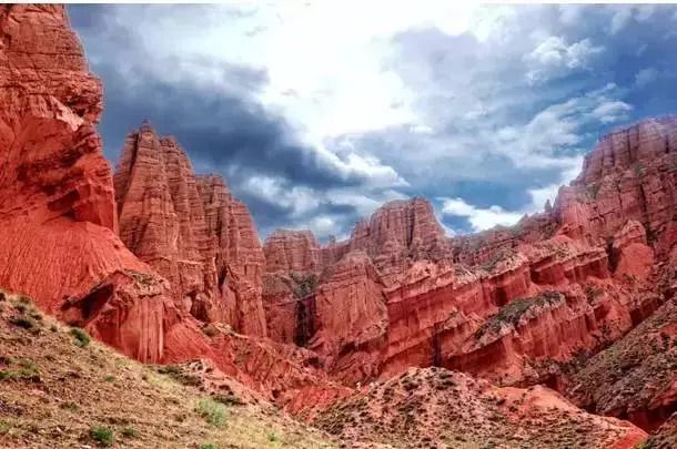 青海十大怪事完整视频,青海十大怪树