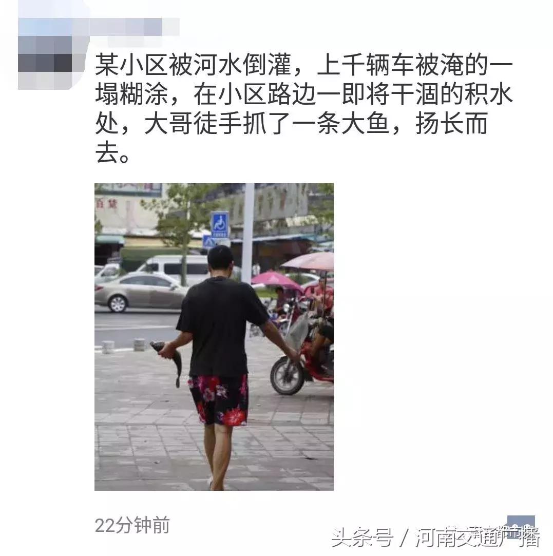 “山竹”过后首个工作日：广东人爬树都要去上班！