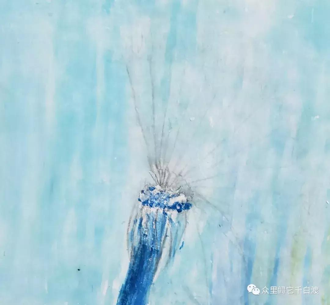 油画棒绘画入门零基础蒲公英,油画棒肌理蒲公英