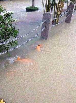 台风山竹带来的灾害,台风山竹造成广东多少经济损失