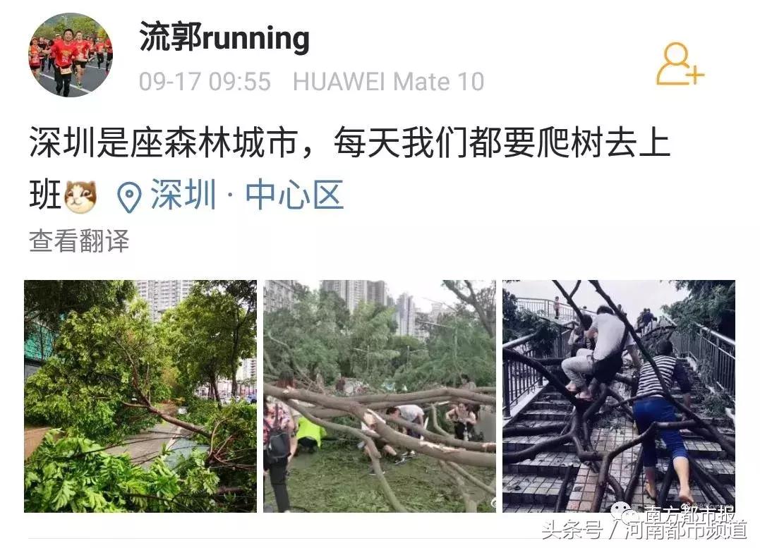 “山竹”过后首个工作日：广东人爬树都要去上班！