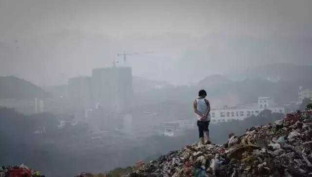 外卖正在毁灭下一代,外卖正在毁灭我们的下一代原文