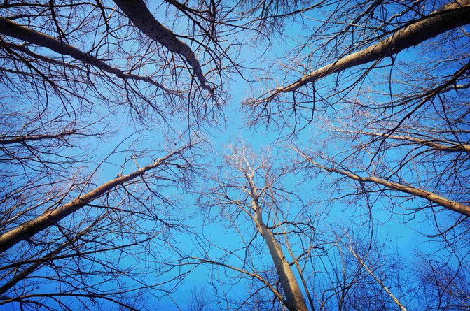 冰城伏尔加:“晴空下的雪域恋歌”让你知道旅行和旅游是两码事!