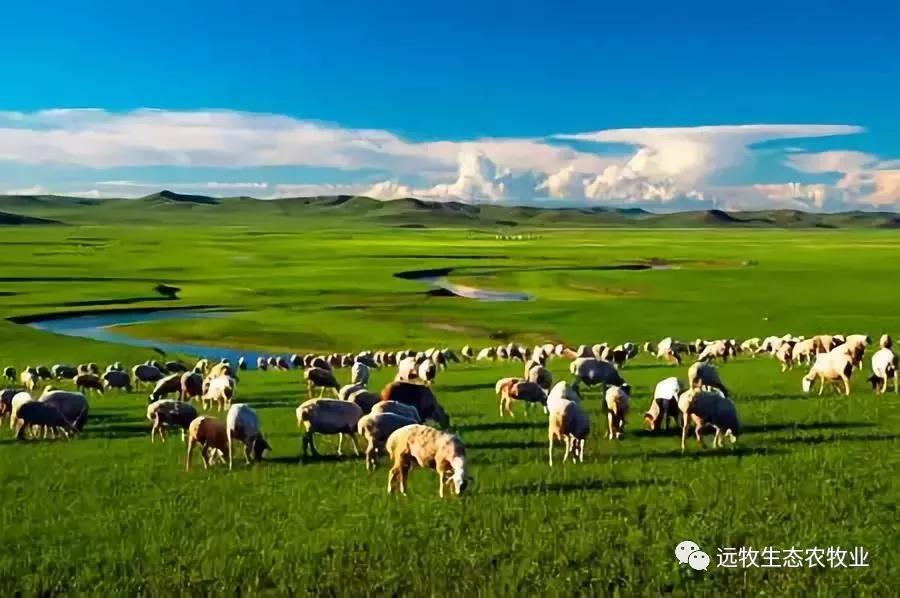 什么叫做生意真正的含义,什么叫做生意完整版