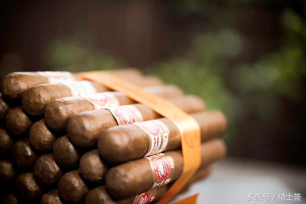 雪茄干货新手入门,雪茄入门从零开始