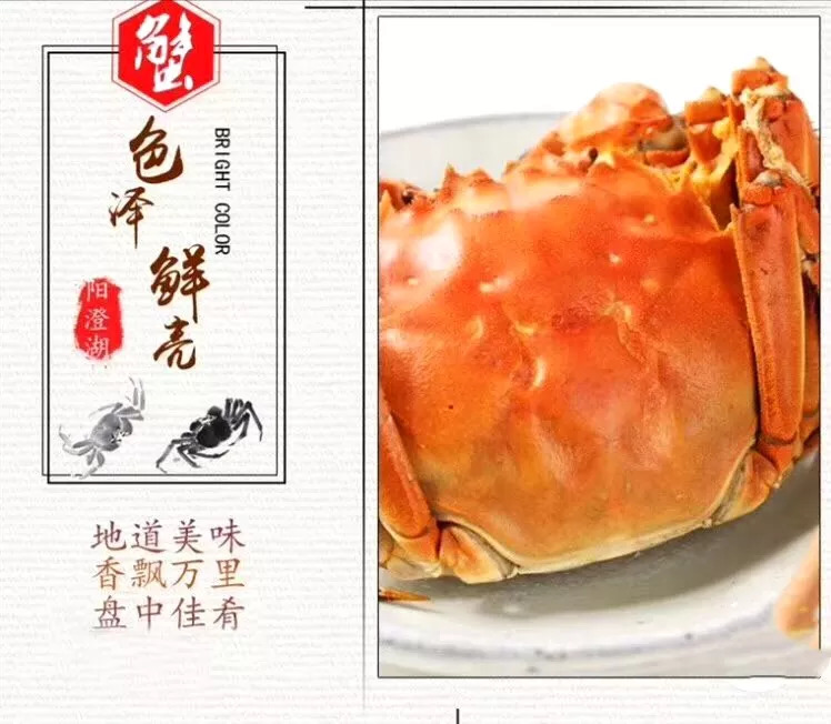 「团购」中秋送礼必备！价格低质量好的阳澄湖大闸蟹要去哪里买呢？这只来自阳澄湖的鲜活大闸蟹肥美爆膏正当时，错过等一年！