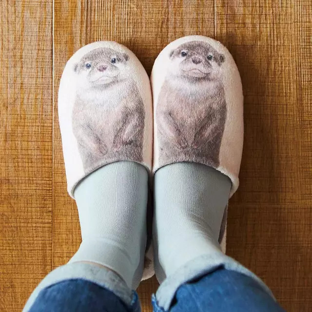 日本人家里东西太多,日本必备10种东西