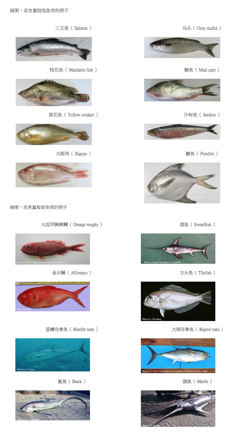 地球最好米粉砷超标17类,国产嘉宝米粉重金属超标详情