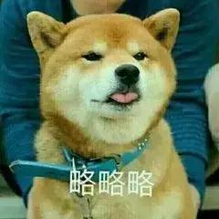 吐槽大会狗狗事件,吐槽大会泰迪犬