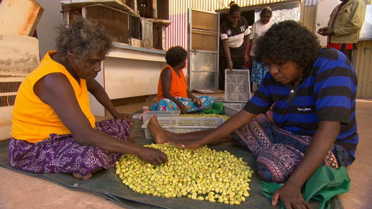 卡卡杜李提亮焕颜精华,卡卡杜李提亮焕颜面霜