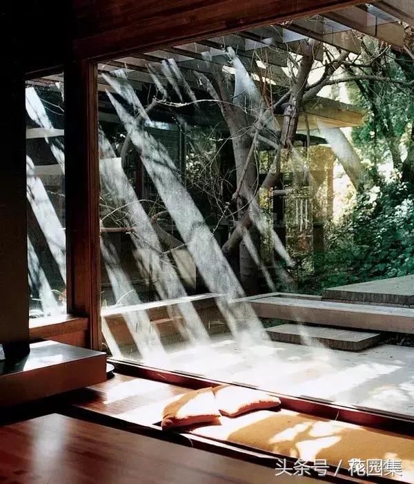 庭院栽什么树风水好,庭院最好的风水布局