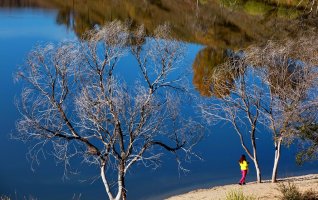 金秋坝上草原摄影,坝上秋天摄影攻略