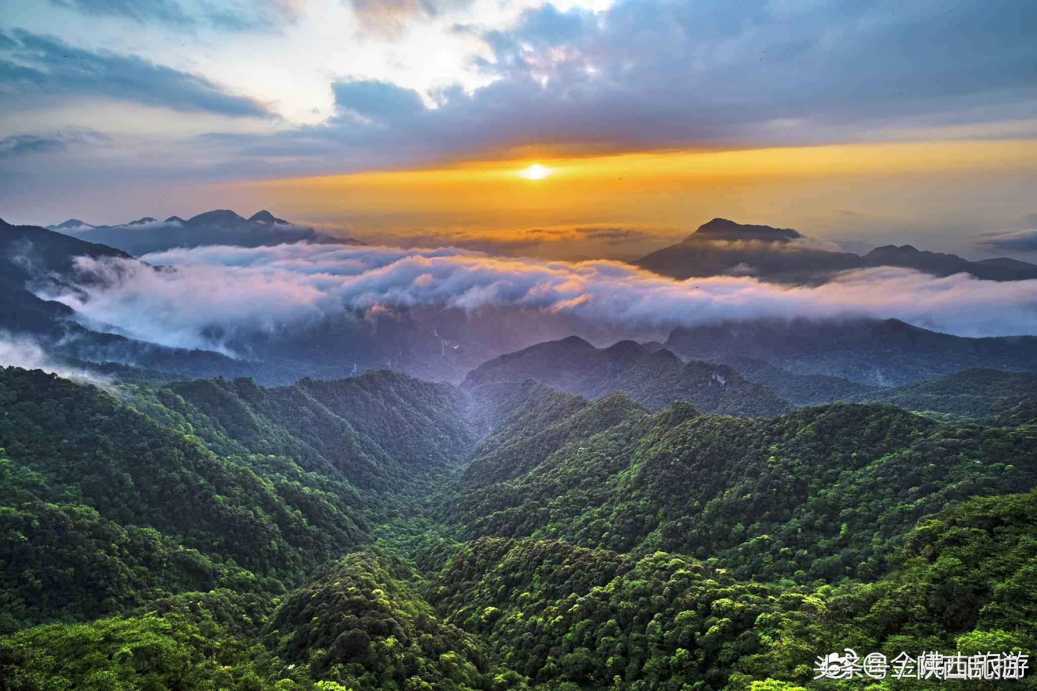 畅游佛山名胜,金佛山景区自由行