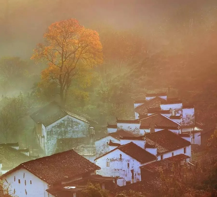 婺源10月,10-11月的婺源