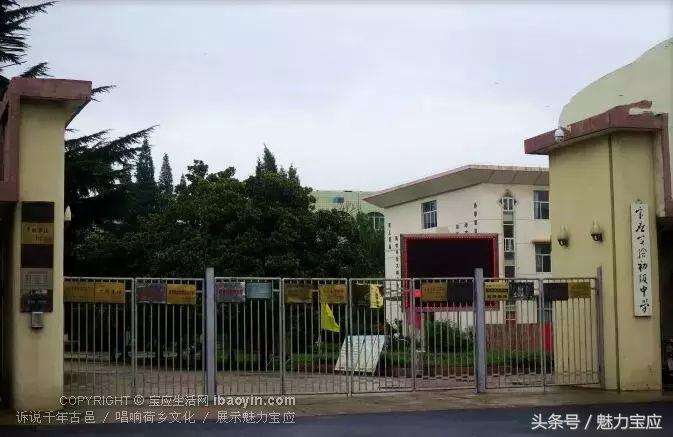 宝应中学优秀语文老师,宝应中学老师