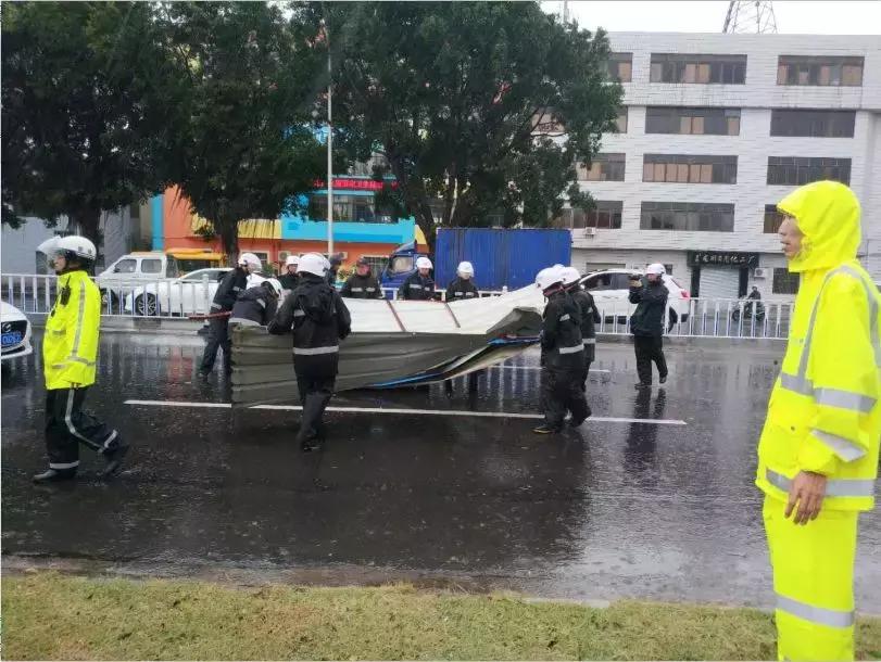 请给他们多一点时间！端州全城风后大修缮