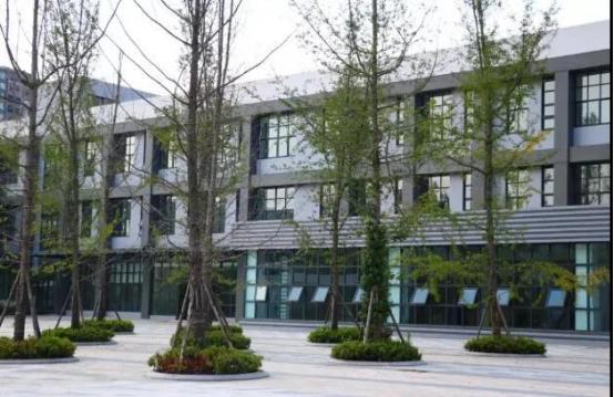 全部帅起来，各有各的美！成都19所新学校（新校区）整体上线！