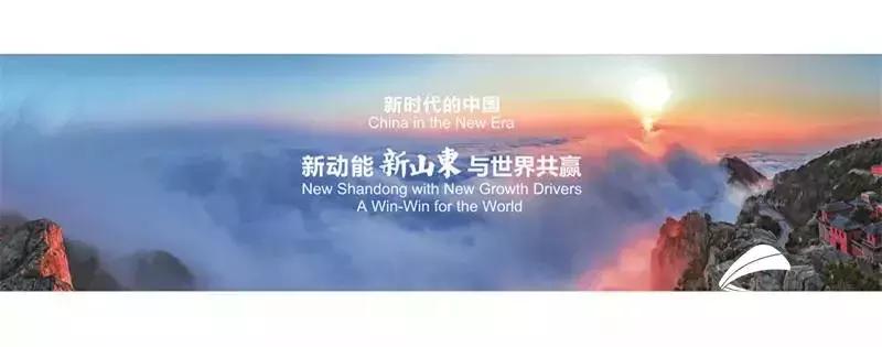 山东成功挺进全国八强,山东省挺进八强