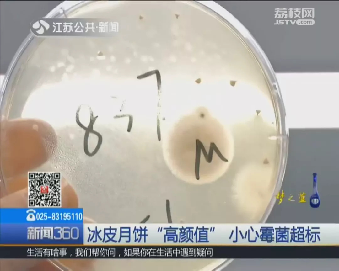 广东蛋黄月饼怎么不合格,广东月饼为什么有的人不喜欢吃