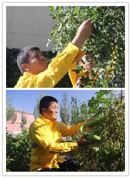 我们都要好好的努力工作享受生活,为了生活他们都在努力工作