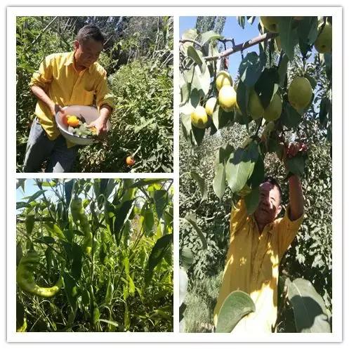 我们都要好好的努力工作享受生活,为了生活他们都在努力工作