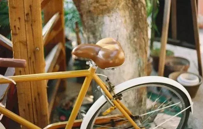 10对无性夫妻:没有*爱性**,靠什么维系感情?