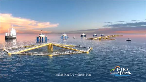 Hi，我是即将站上世界C位的山东！