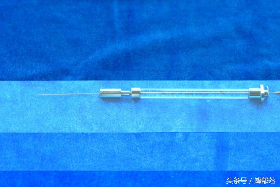 陕西老蜂农蜂蜜多少钱一斤,老蜂农蜂蜜510g