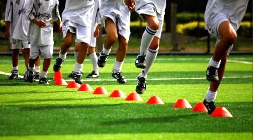 德宏学校名录,德宏重点学校