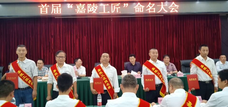 南充嘉陵网红前十名,南充十大著名的人