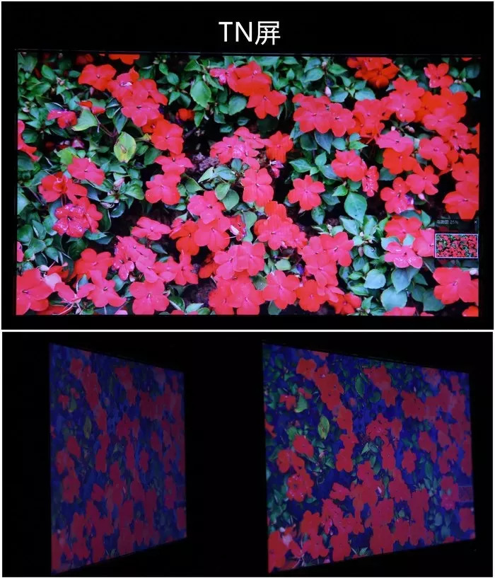 电竞显示器ips和pva面板哪个更好,铅锤哥显示器缺点