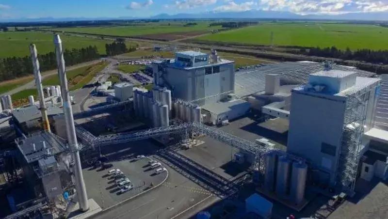 a2代工,a2奶粉代工