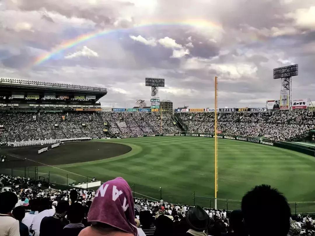 战争狂热之谜,战争和恋爱