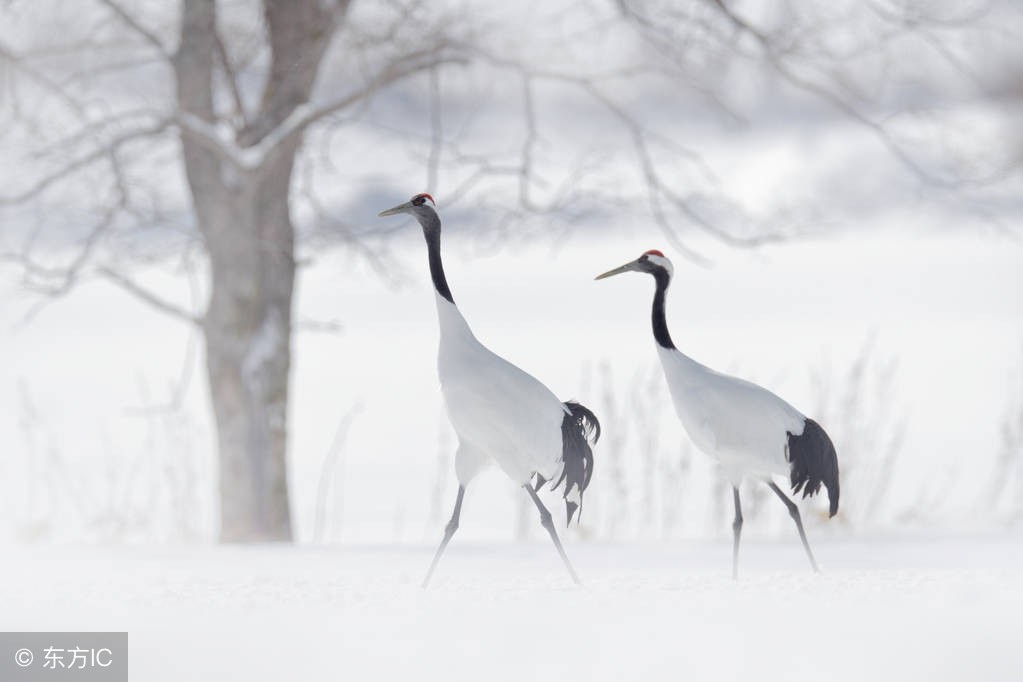 歇后语大全六年级全册,歇后语作文必背100个