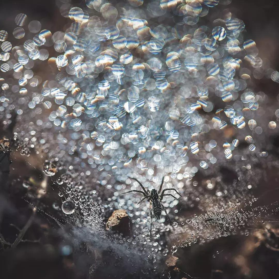 大美云南写真,大美云南山水