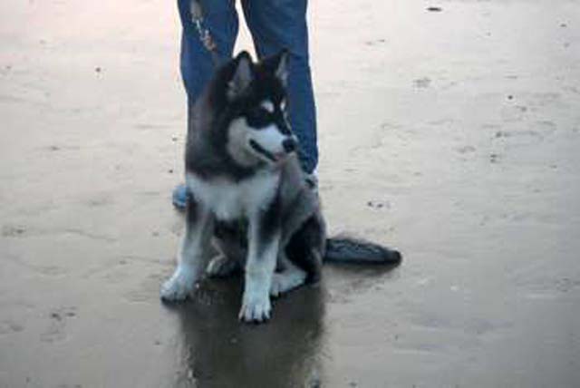 日照三日游自驾游最佳路线,日照三日游跟团价