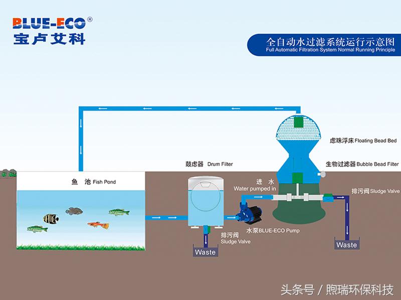 锦鲤鱼池过滤高清详细设计图纸,全自动过滤系统锦鲤鱼池施工方案